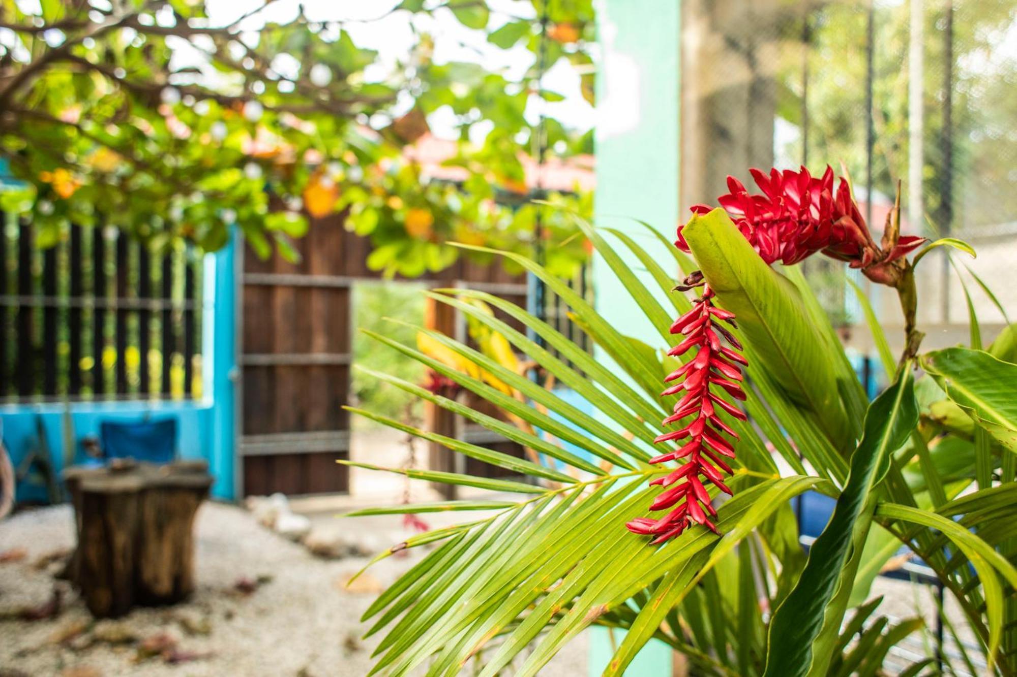 Argdivan Beach Hostel Sámara 외부 사진